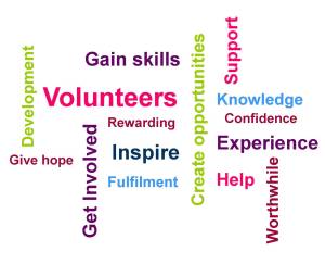 volunteer-Wordle